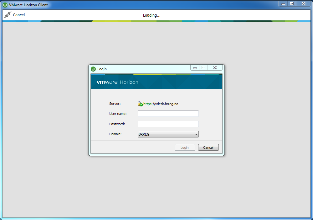 Figur 5 - Innloggingsbilde VMware Horizon Client